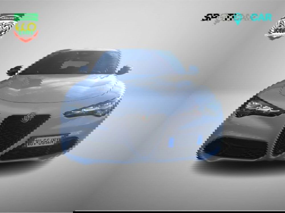 Alfa Romeo Stelvio usata a Frosinone (2)