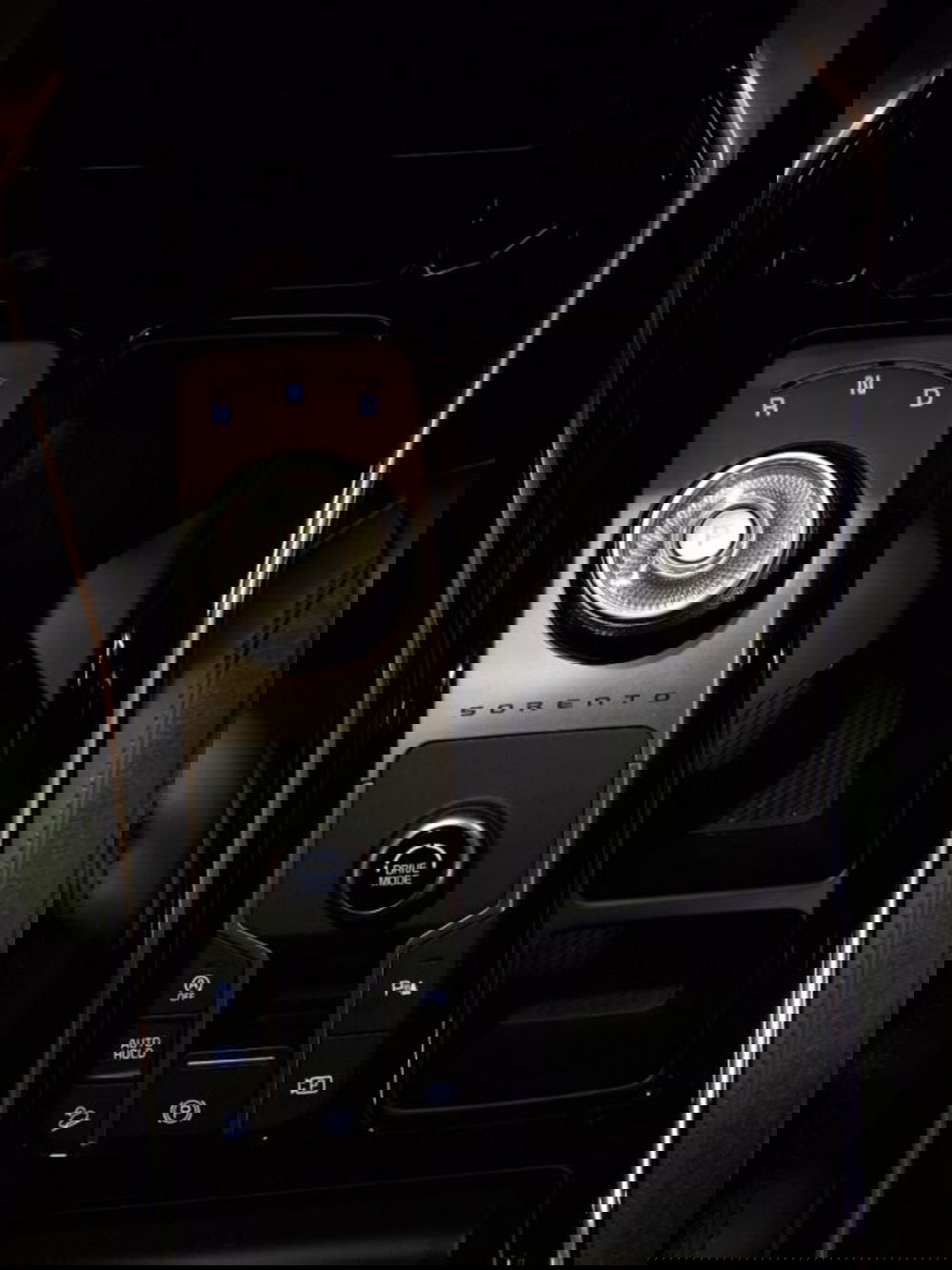 Kia Sorento usata a Vicenza (14)