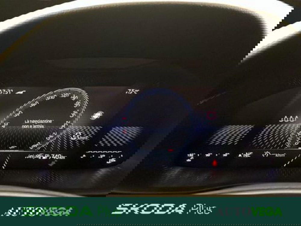 Skoda Kamiq usata a Vicenza (14)