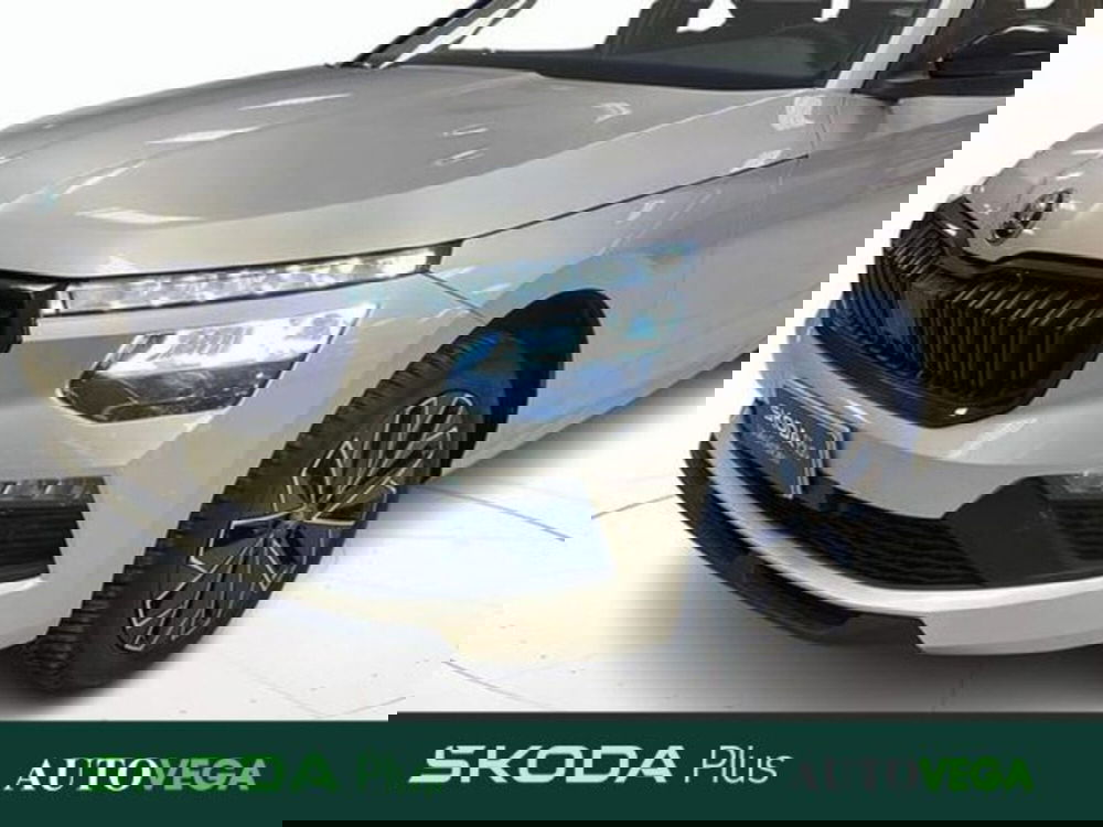 Skoda Kamiq usata a Vicenza (19)