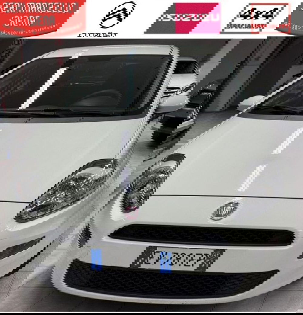 Fiat Punto usata a Siena