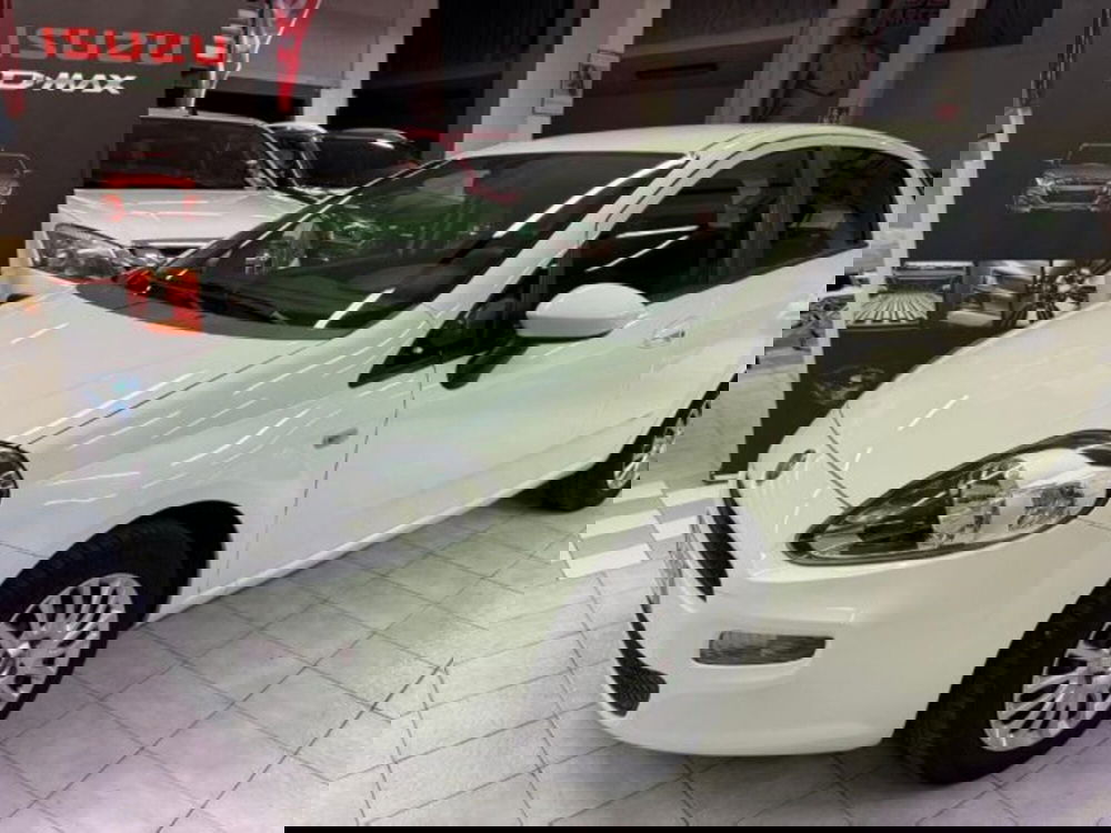 Fiat Punto usata a Siena (2)