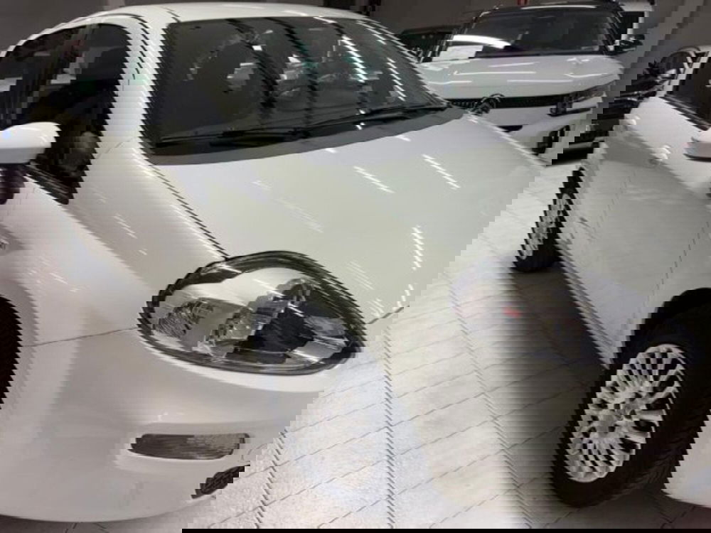 Fiat Punto usata a Siena (3)