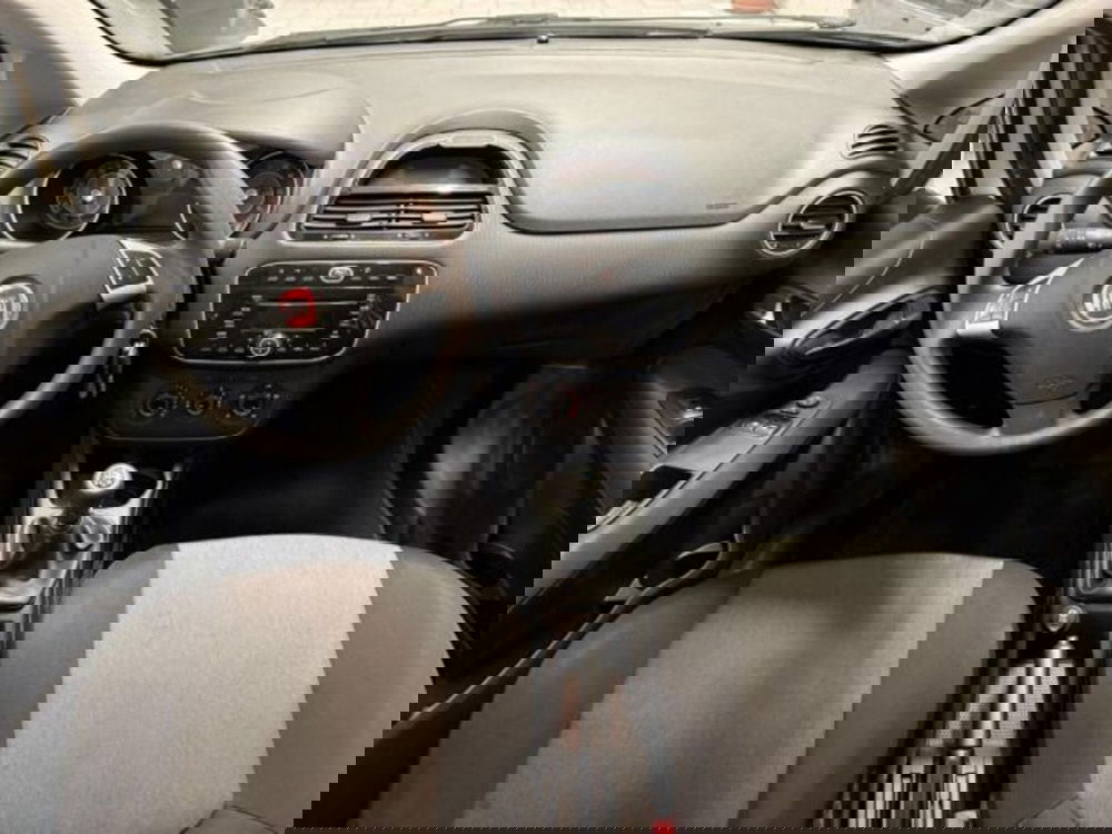 Fiat Punto usata a Siena (5)