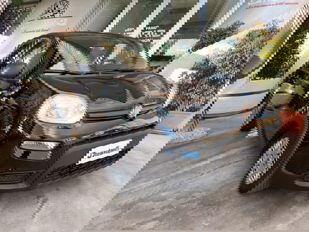 Fiat Panda usata a Bari