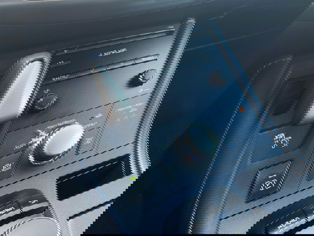 Lexus CT usata a Piacenza (18)