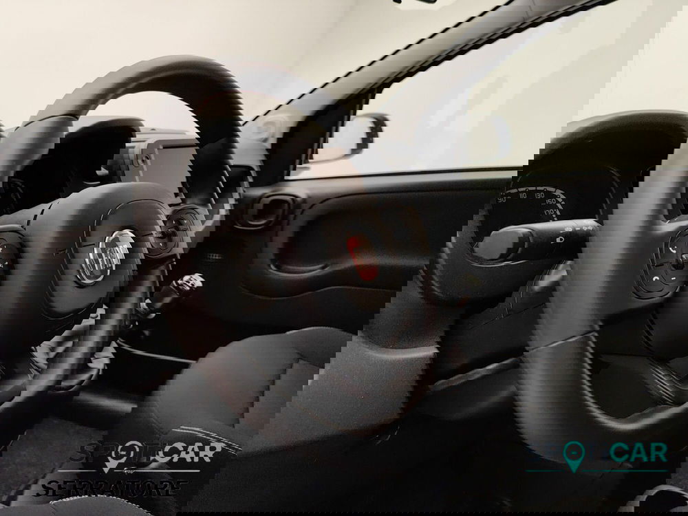 Fiat Panda Cross usata a Como (9)