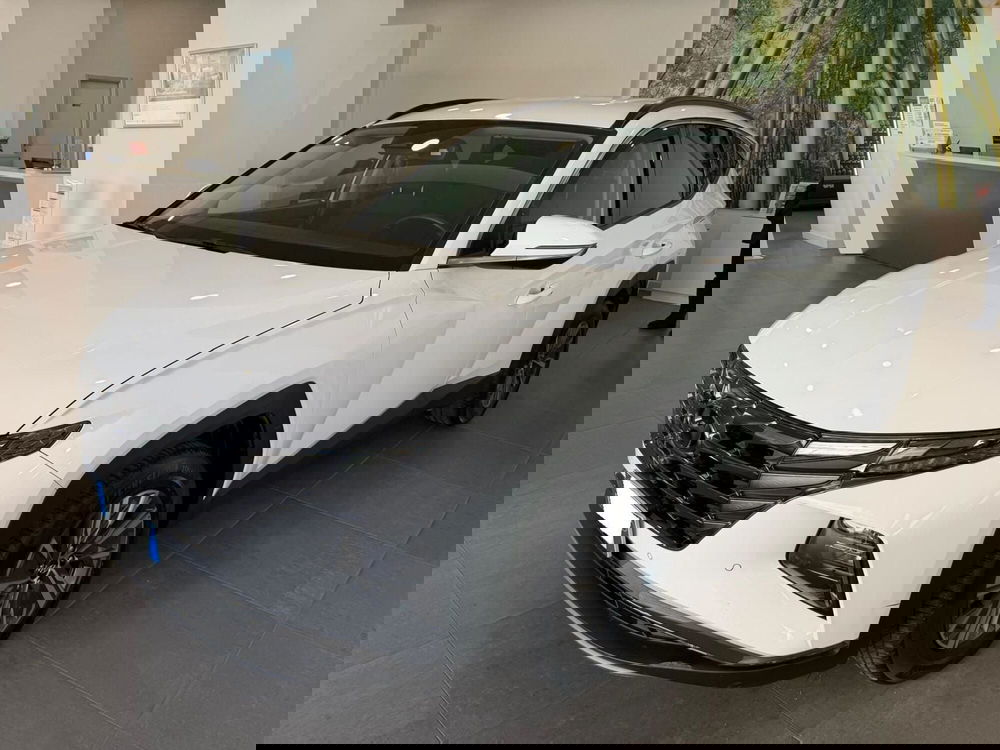 Hyundai Tucson usata a Napoli (2)