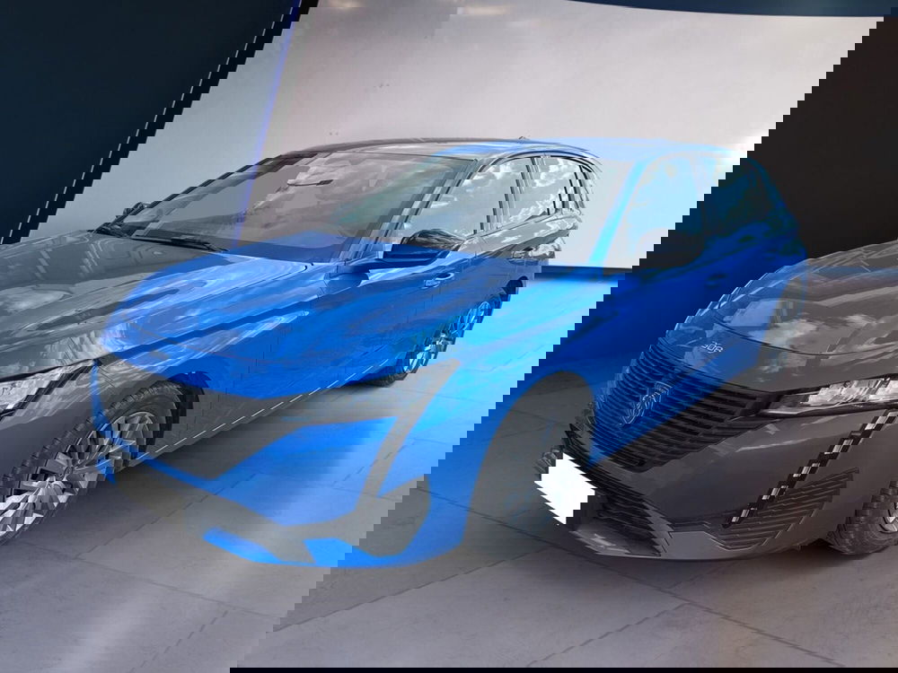 Peugeot 308 usata a Torino (2)