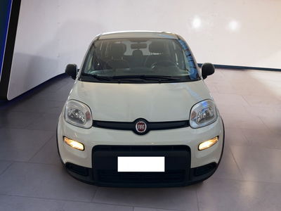 Fiat Panda 1.0 firefly hybrid s&amp;s 70cv del 2024 usata a Torino