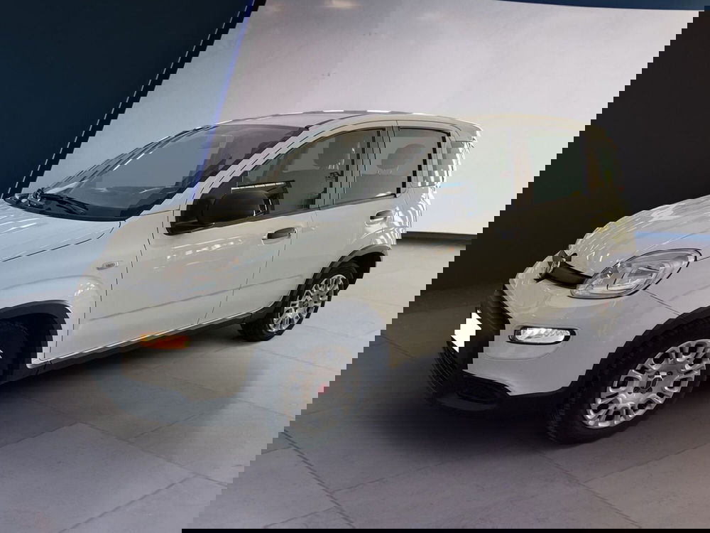 Fiat Panda usata a Torino (2)