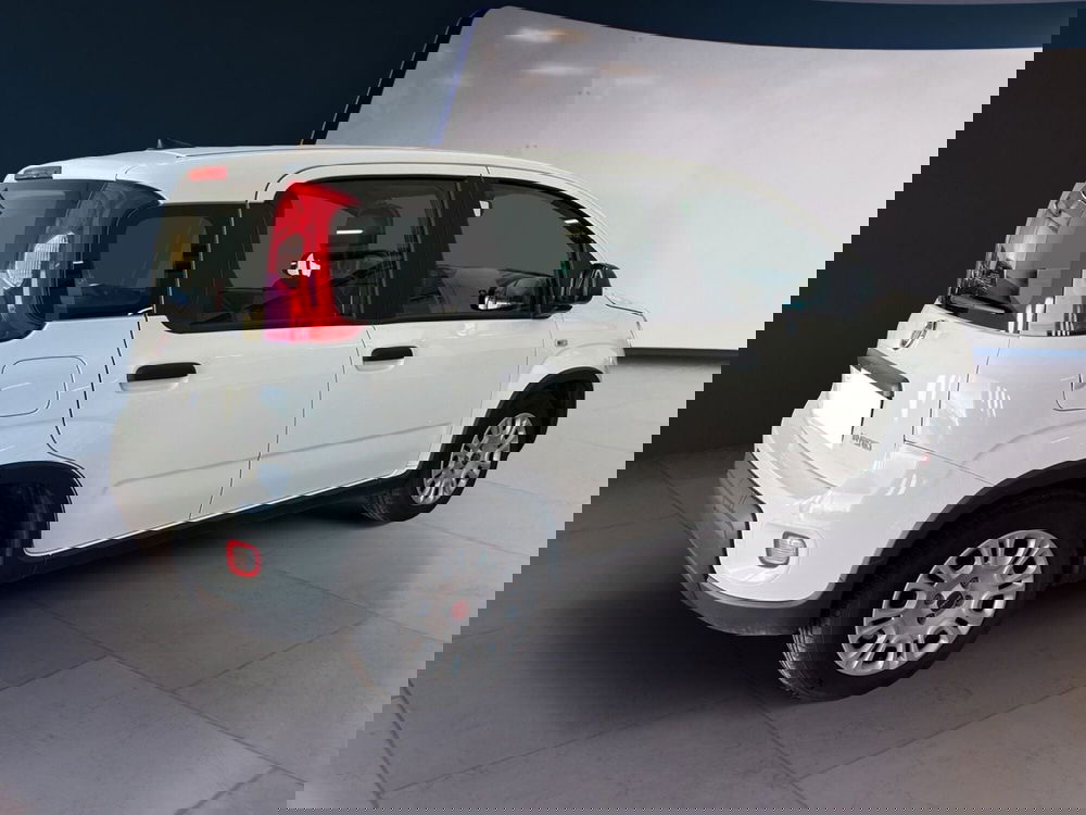 Fiat Panda usata a Torino (4)