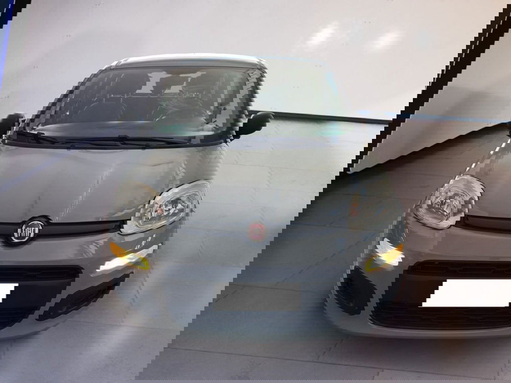 Fiat Panda usata a Torino