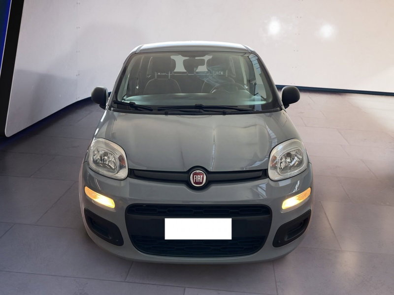 Fiat Panda usata a Torino
