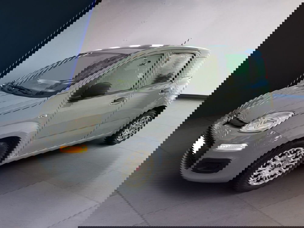 Fiat Panda usata a Torino (2)