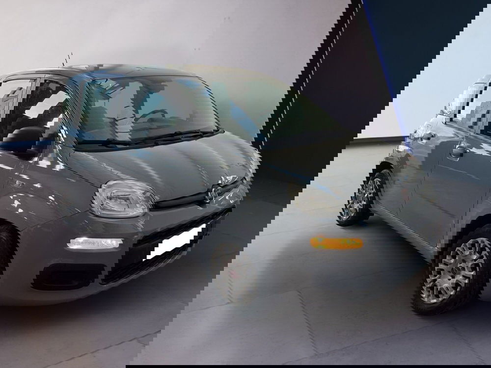 Fiat Panda usata a Torino (3)