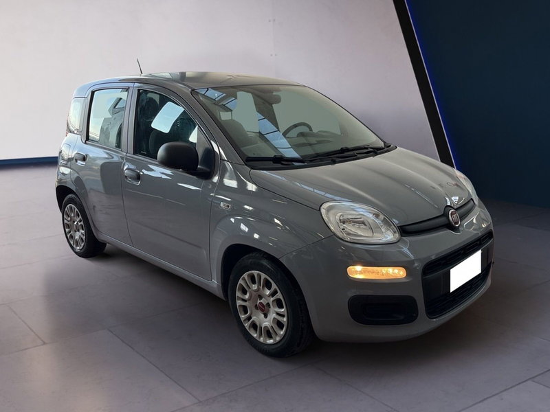 Fiat Panda usata a Torino (3)