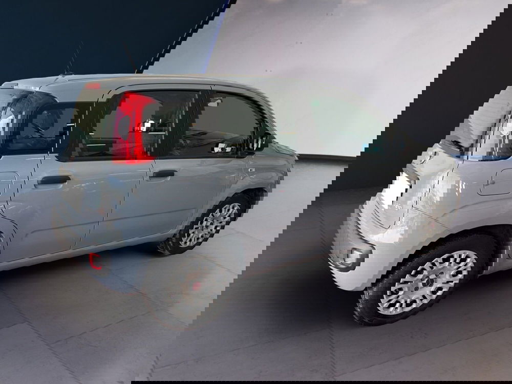 Fiat Panda usata a Torino (4)