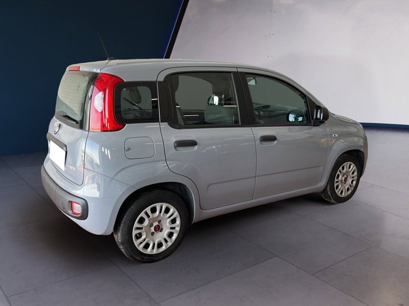 Fiat Panda usata a Torino (4)