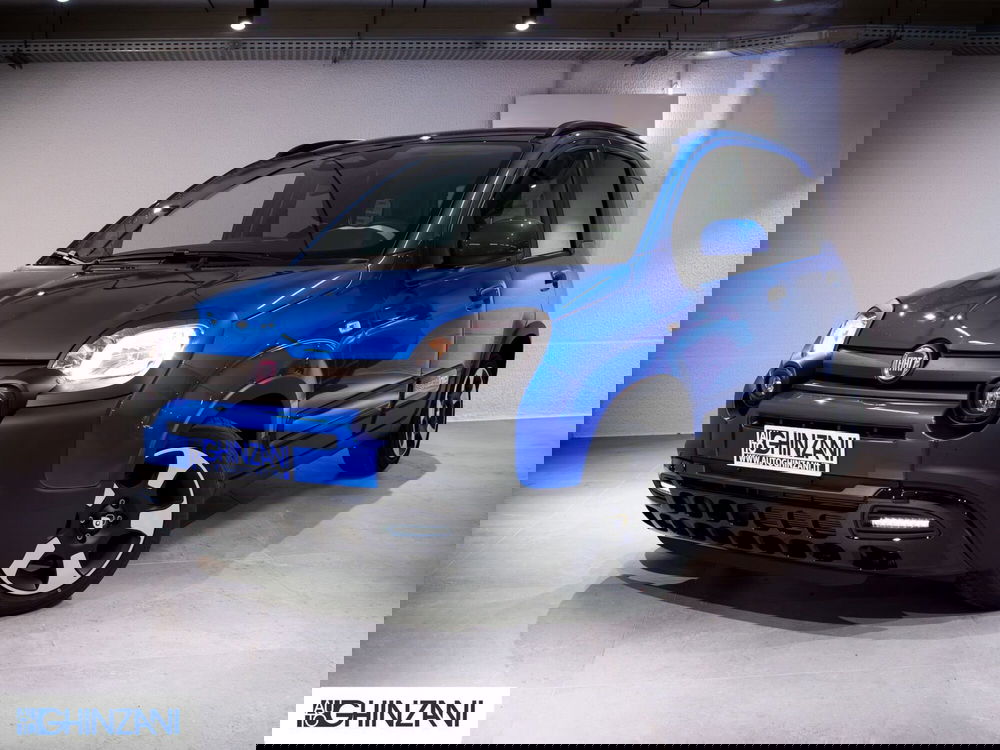 Fiat Panda Cross usata a Bergamo (3)