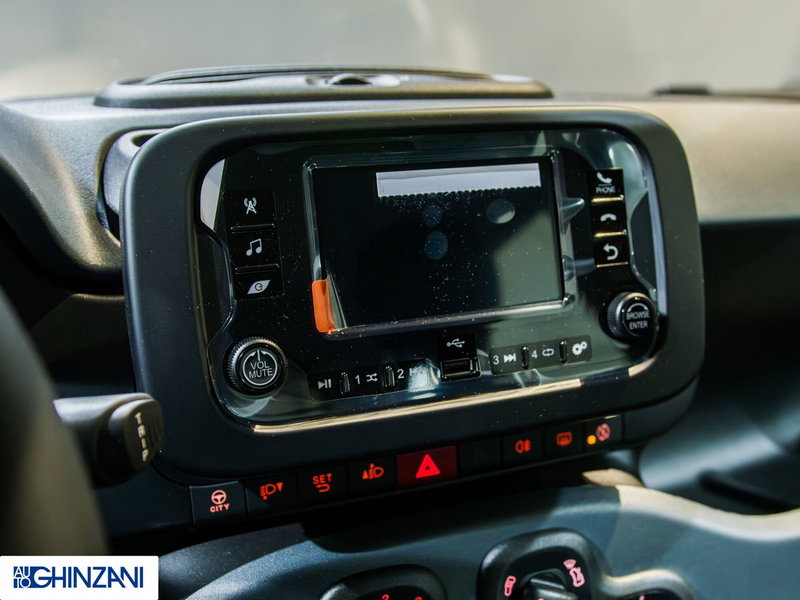 Fiat Panda Cross nuova a Bergamo (14)