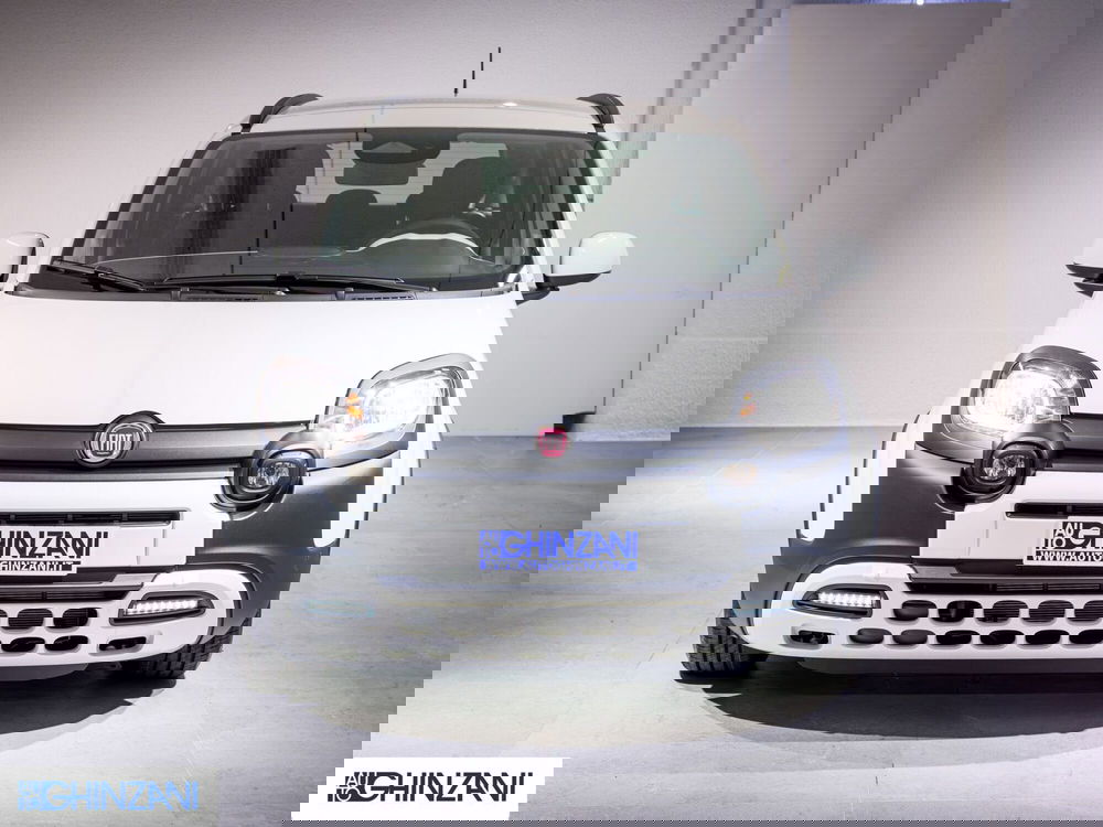 Fiat Panda Cross usata a Bergamo (3)