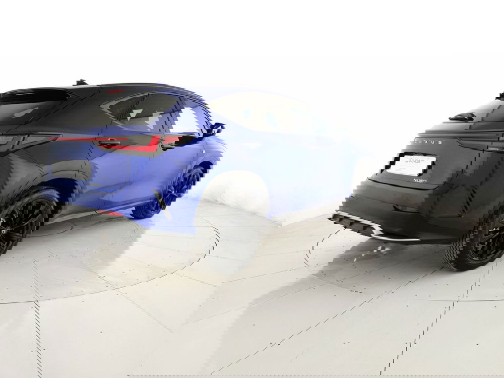 Lexus NX usata a Chieti (3)