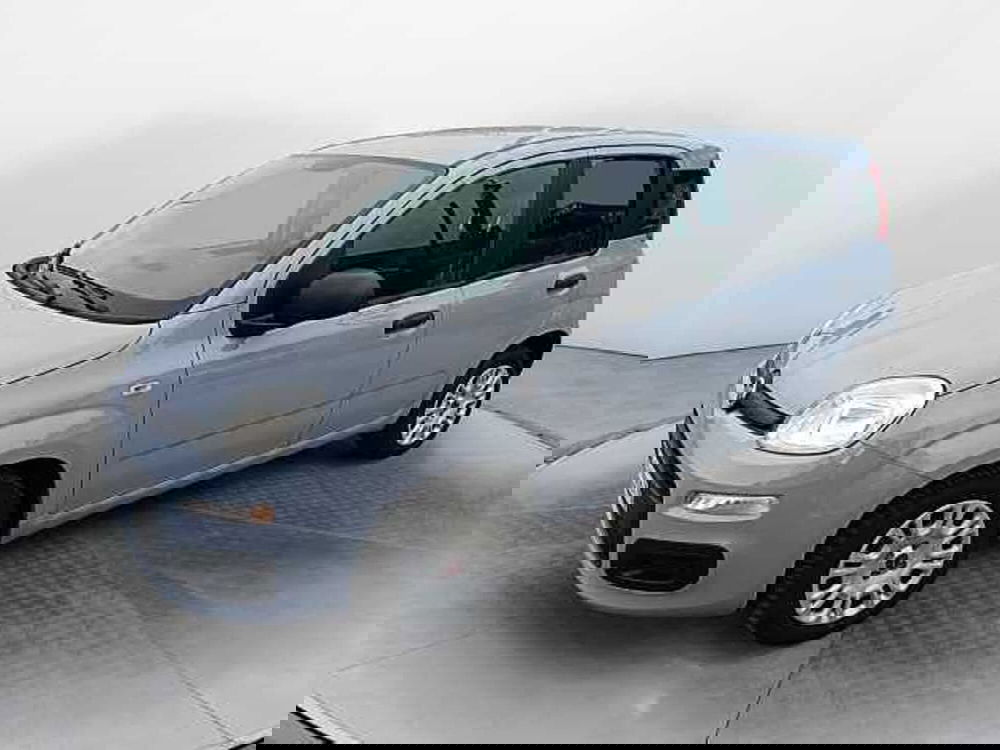 Fiat Panda usata a Siena