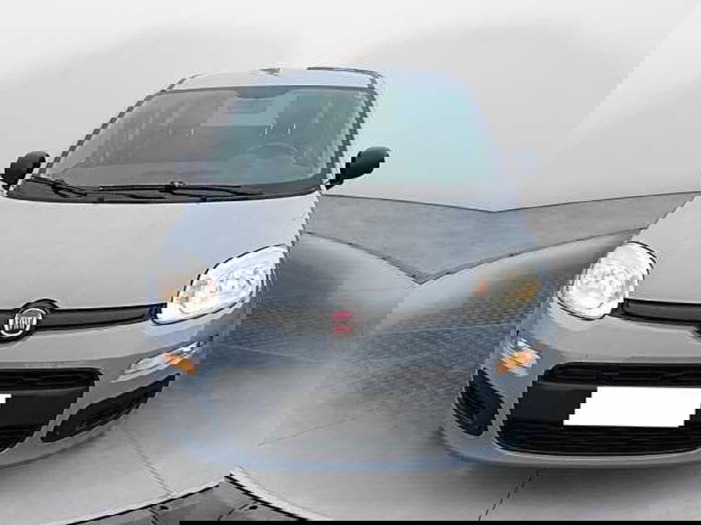 Fiat Panda usata a Siena (2)