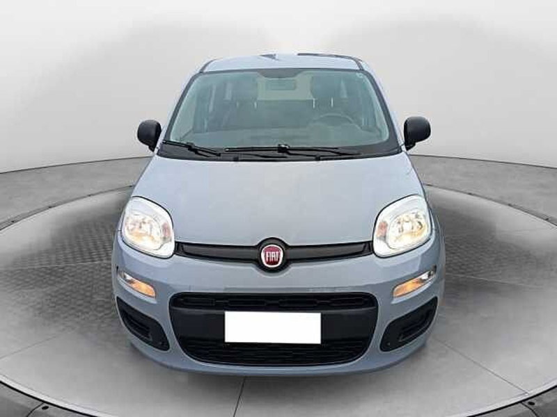 Fiat Panda usata a Siena (2)