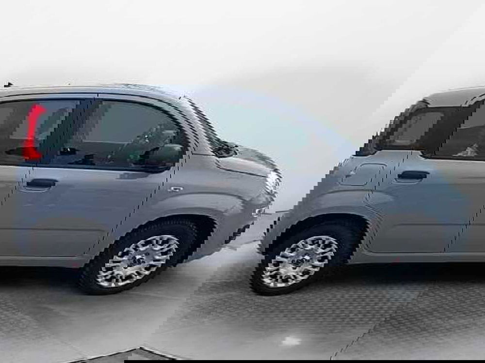 Fiat Panda usata a Siena (4)