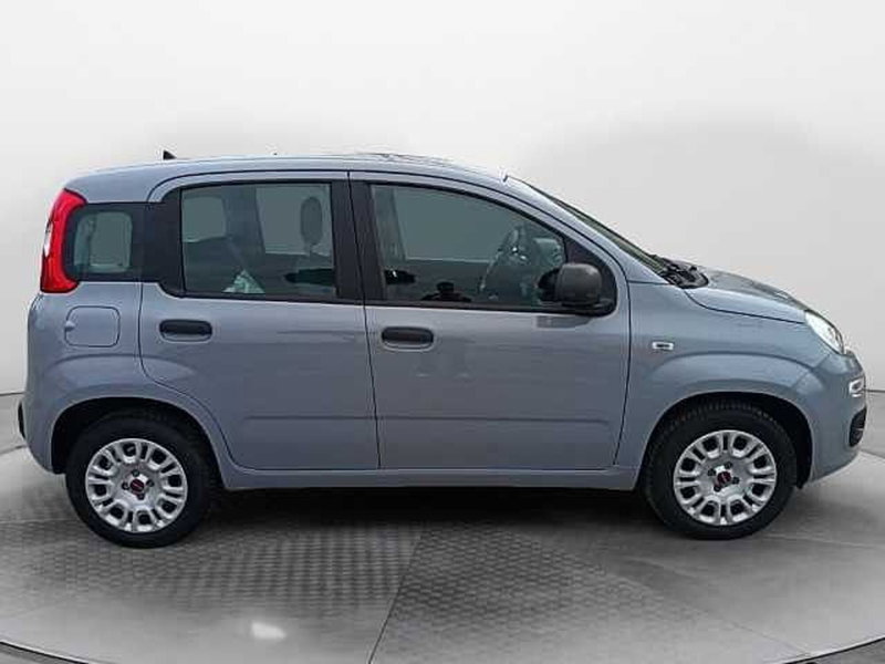 Fiat Panda usata a Siena (4)
