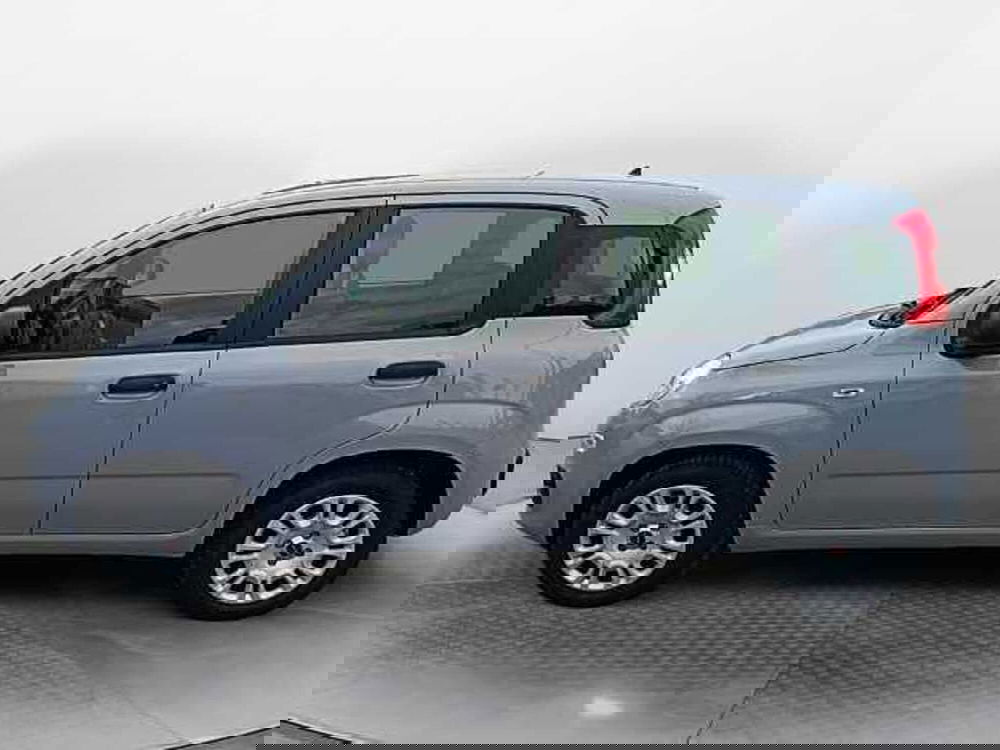 Fiat Panda usata a Siena (5)