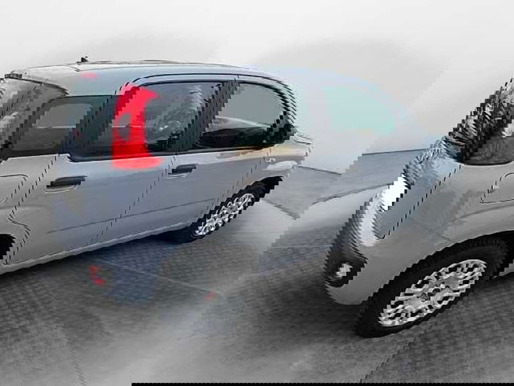 Fiat Panda usata a Siena (6)