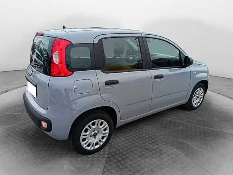 Fiat Panda usata a Siena (6)