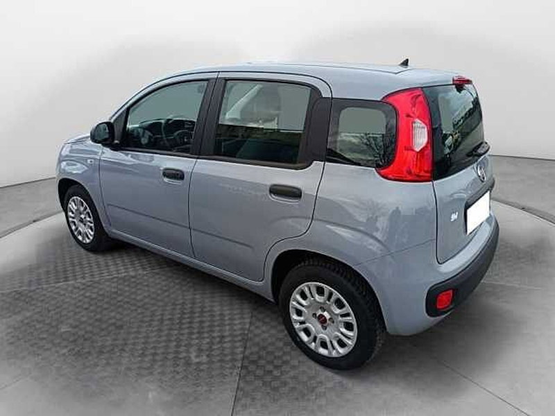 Fiat Panda usata a Siena (7)