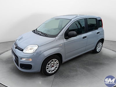 Fiat Panda 1.2 Easy del 2019 usata a Siena