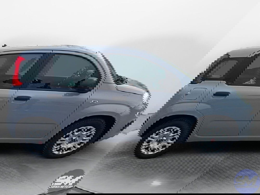 Fiat Panda usata a Siena (4)