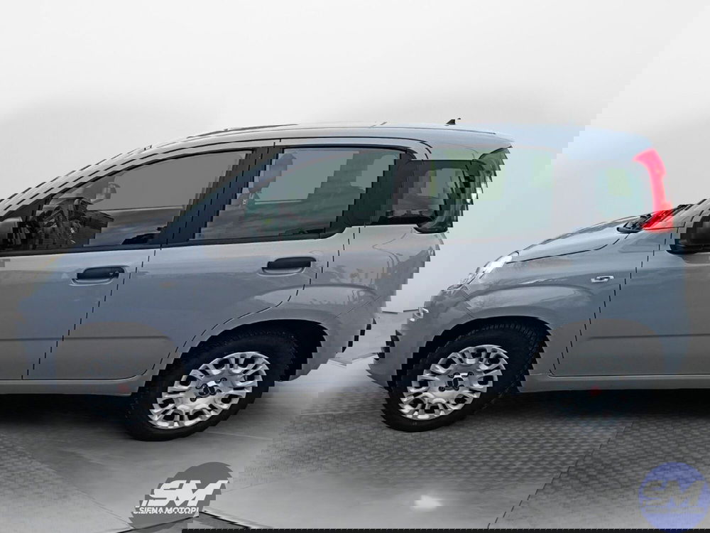 Fiat Panda usata a Siena (5)