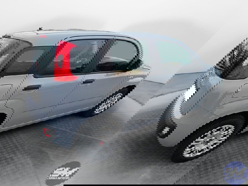 Fiat Panda usata a Siena (6)