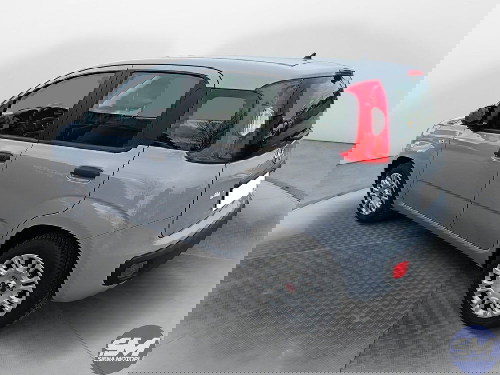 Fiat Panda usata a Siena (7)