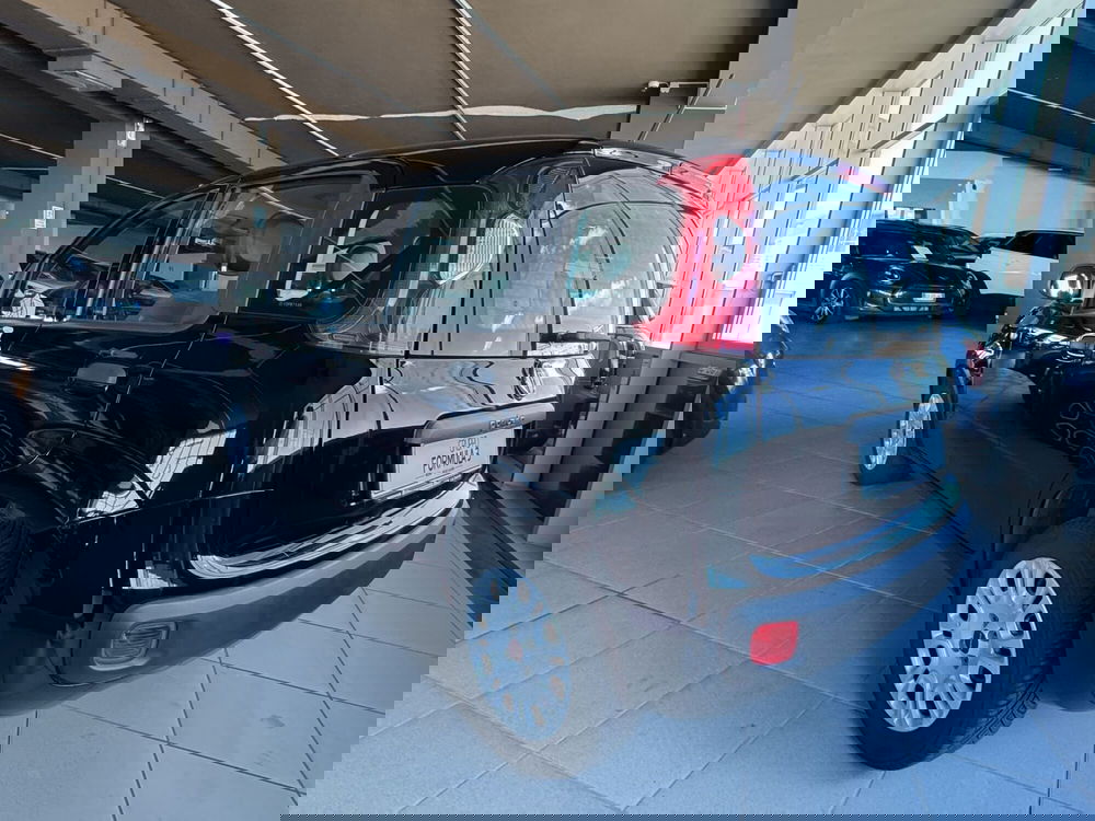 Fiat Panda usata a Messina (4)