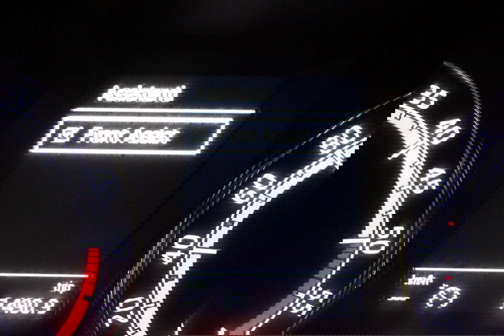 Skoda Octavia Station Wagon usata a Torino (15)