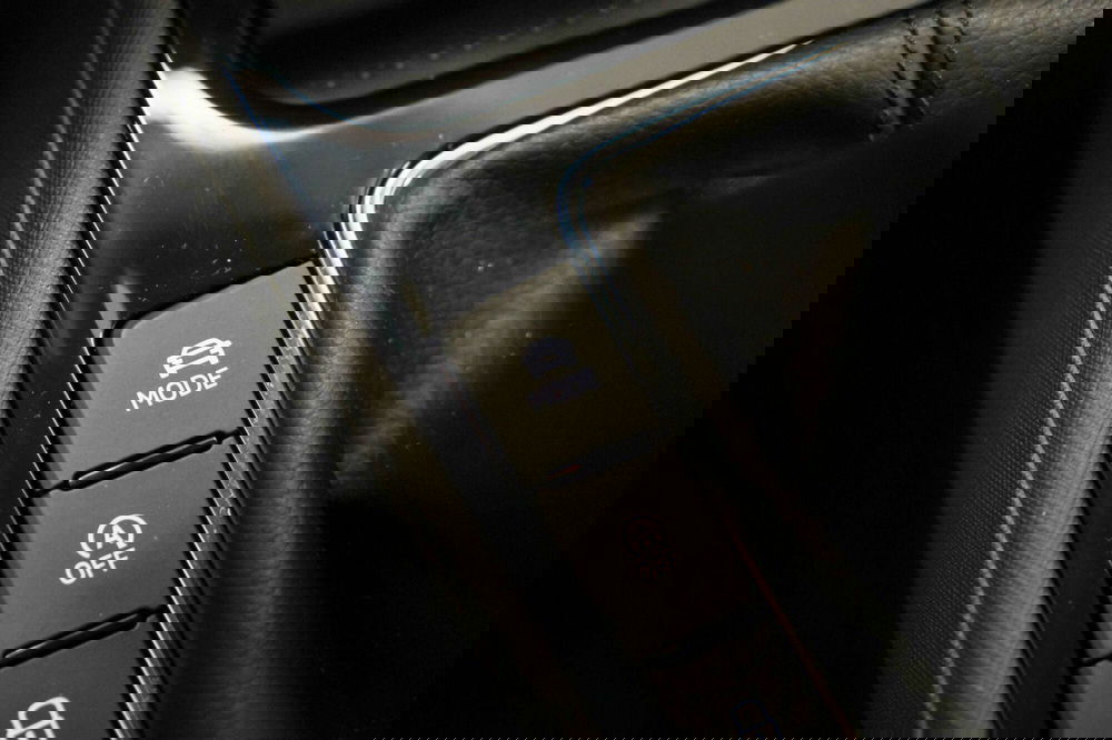 Skoda Fabia usata a Varese (19)