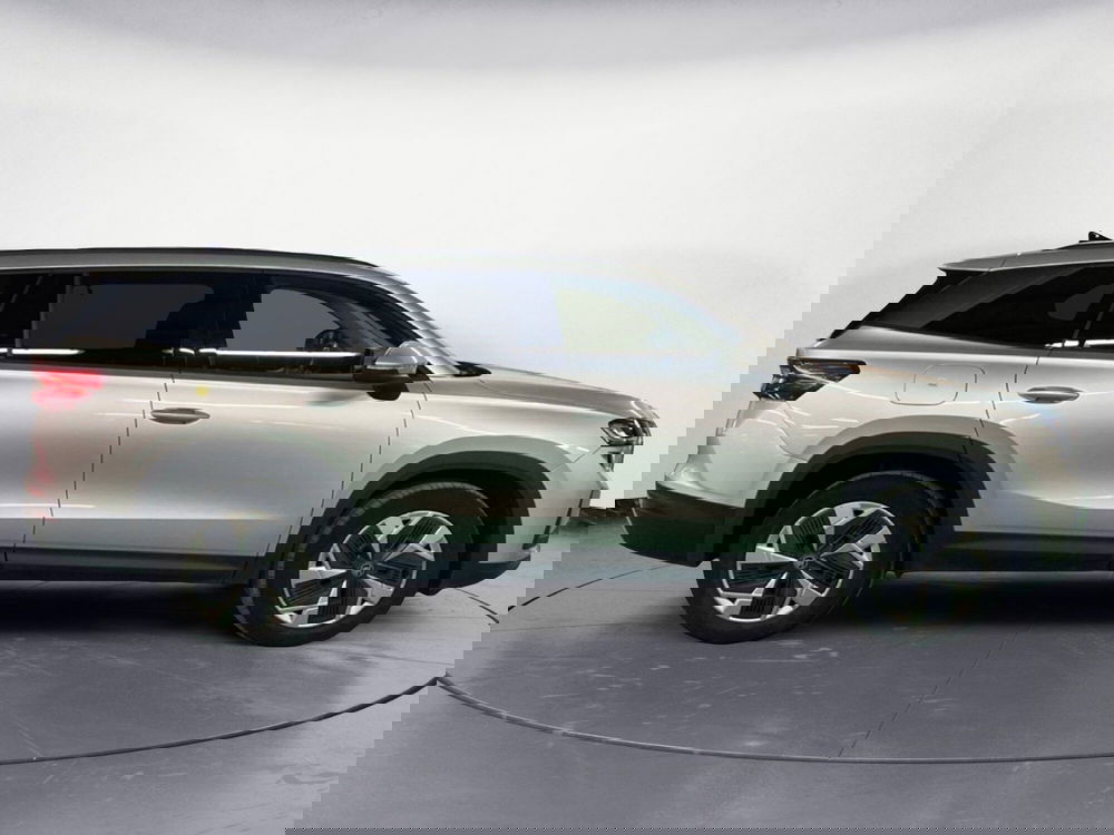 Skoda Kodiaq usata a Catanzaro (4)