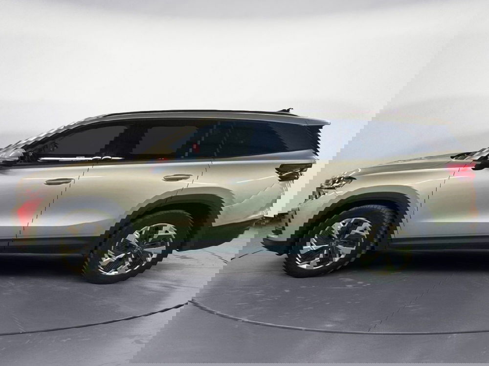 Skoda Kodiaq usata a Catanzaro (8)