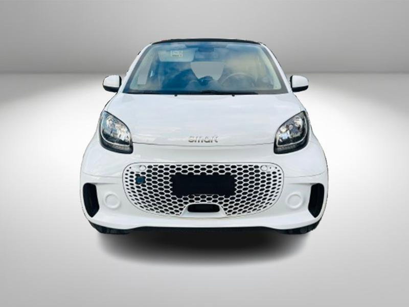 smart Fortwo usata a Firenze (4)