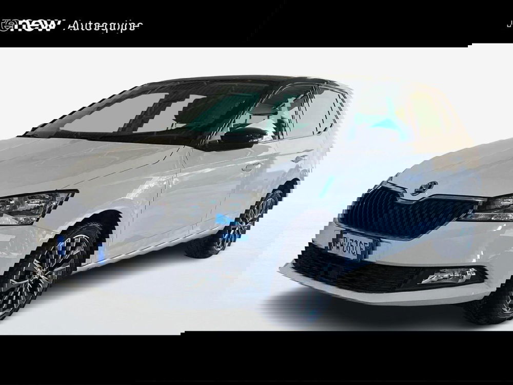 Skoda Fabia usata a Roma