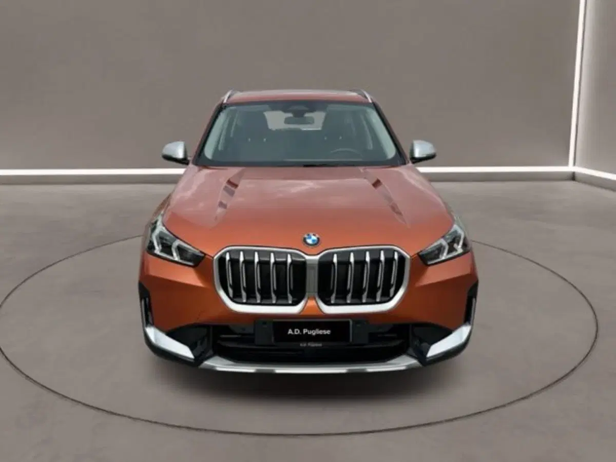 BMW X1 usata a Caltanissetta (2)
