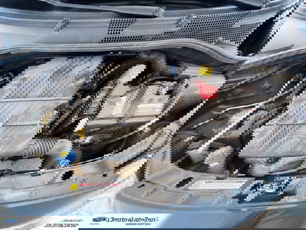 Fiat 500 usata a Roma (12)